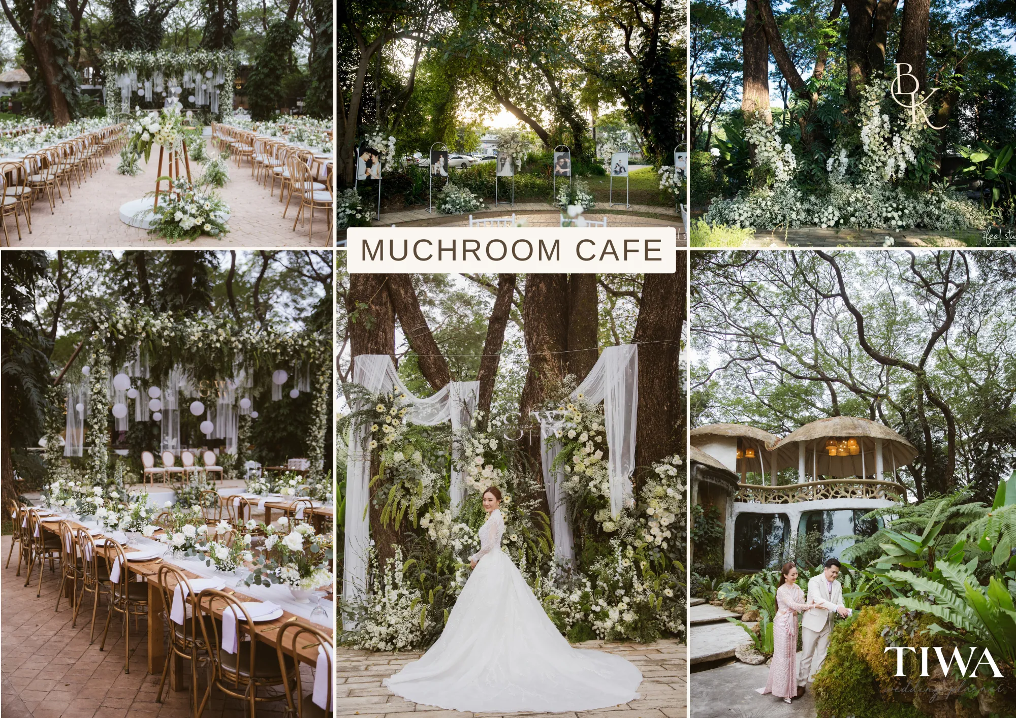 Muchroom Cafe